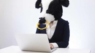 パソコン操作する牛