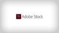 便利！Adobe Stockの検索フィルター機能を活用しようのアイキャッチ画像